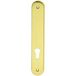 Ouvre&déco Plaque Borgne Extérieure 195mm – Laiton Poli Avec Vernis Haute Résistance – Compatible Cylindres Standard – Pour Usage Extérieur