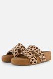 Lazamani Slippers Leopard bruin Synthetisch - Maat 36
