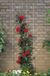 Nature Ubbink Garden BV Metalen klimrek geplastificeerd grijs H150x45cm