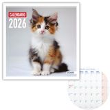 Dohe Calendrier mural 2026, 12 mois, janvier à décembre, aperçu mensuel, 30 x 30 cm, langue espagnole, reliure non, espace pour notes, planification annuelle, papier épais 120 g/m², chats