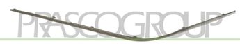 PRASCO Zier-/Schutzleiste, Stoßfänger ME0371248 vorne links | Compatibel met: MERCEDES-BENZ E-CLASS, E-CLASS T-Model