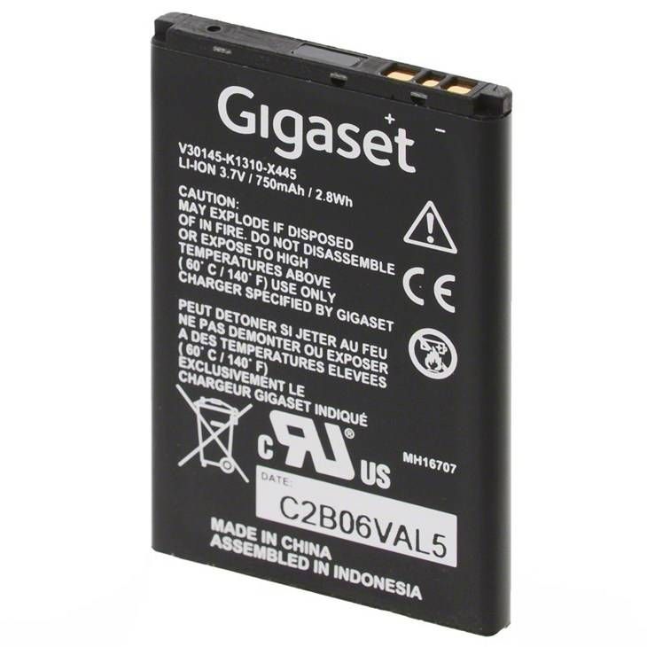 Gigaset V30145-K1310-X445