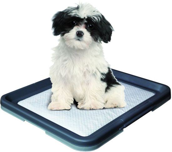 Nobby Trainingsmat - Donker- en Lichtgrijs - 48 x 41 x 3,5 cm - 1 ST