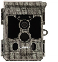 Camouflage Caruba Wildcamera Raccoon Solar 4K