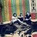 PIAS Nederland The Cribs - For All My Sisters (Deluxe Edition) CD