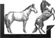 Merkloos KitchenYeah® Inductie beschermer Paarden illustraties - 77x51 cm - Zwart-wit - Inductie kookplaat accessoire