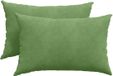 vidaXL - Coussin d'assise - 2 pièces - Vert clair - 60 x 40 cm - Tissu velours côtelé