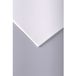 Clairefontaine 93737C Pakket Tekenpapier met Korrel - 250 Vellen Wit Tekenpapier met Duidelijke Korrel - A3 29,7x42 cm 180g