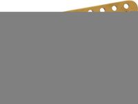 Fender American Professional II Telecaster Neck Maple