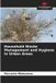 Household Our Knowledge Publishing Household Waste Management and Hygiene in Urban Areas Paperback