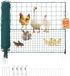 Latios Filet de clôture - Clôture mobile pour chien et poule - 25 m x 1,25 m - Vert