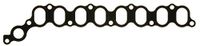 Gasket, Ajusa Gasket, intake manifold