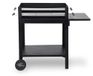 tepro Chill&Grill Houtskoolgrill "Lambada"