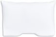 Silvana Support - Molton Schoudercontour voor kussen rood - 50 x 70 cm - Wit