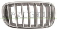 PRASCO BM8262023 frontgrillspoiler