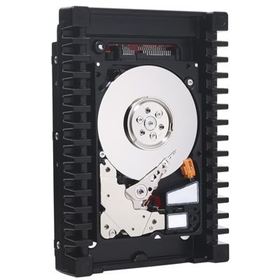 Western Digital WD3000HLFS - Interne harde schijf - 3.5 inch