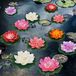 Happy Trees Kunstmatig drijvend schuim lotusbloem met waterlelie pad, levensechte versiering perfect voor huis tuin vijver decoratie, 12 stuks