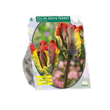 Baltus Tulipa Rasta Parrot Parkiet per 8 bloembollen