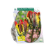 Baltus Tulipa Rasta Parrot Parkiet per 8 bloembollen