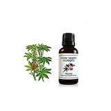 LABIATAE Ricino biologische olie, 30 ml