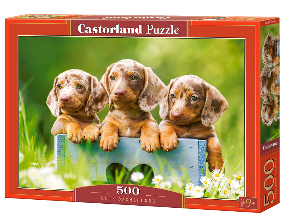 Castorland Cute Dachshunds - 500pcs