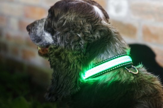 Illuminated Apparel IA LED Light Up Pet Collar - Hondenhalsband - S/M - 31-41cm - Groen groen