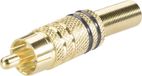 TRU COMPONENTS 1578918 Cinch-connector Stekker, recht Aantal polen: 2 Zwart 1 stuk(s)