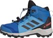 adidas TERREX Terrex Mid GORE-TEX Hiking Schoenen - Kinderen - Blauw - Maat 33