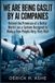 We Independently Published We Are Being Gaslit by AI Companies Paperback