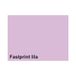 Fastprint Kopieerpapier a4 80gr lila 500vel