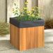 Maison Exclusive - Jardinière 25 x 25 x 25 cm en bois massif d'acacia