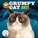 Grumpy cat 2026 Wandkalender