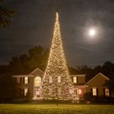 Fairybell Vlaggenmastboom Kerstverlichting - 10 m - 4000 warmwitte LEDs