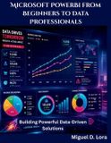 Microsoft PowerBi from Beginners to Data Professionals