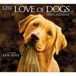 LANG Love Of Dogs 2024 Wandkalender