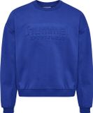 Hummel Hmlboxy Crew Logo Sweatshirt Heren XL Surf The Web
