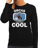 Bellatio Decorations Bol Dieren orka walvissen sweater zwart dames - orcas are serious cool trui - cadeau sweater grote orka/ orka walvissen liefhebber M