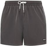 Oakley Apparel Robinson Rc 16´´ Maillot de bain Gris L Homme