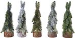 Everlands Mini boom d5h20 cm a5