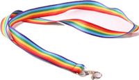 Merkloos / Sans marque Promex Gmbh Keycord in Regenboog vlag kleuren - 25x - sleutelhanger - polyester - lanyard