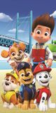 PAW Patrol Strandlaken Beach - 70 x 140 cm - Katoen