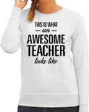 Bellatio Decorations Shoppartners Bv This is what an awesome teacher looks like cadeau sweater grijs - dames - beroepen / cadeau trui XXL