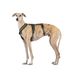 3-punts anti-trekharnas - Ideaal voor Lebrelles: Italiaanse windhond, whippet, windhond, podenco - veilig, ademend en duurzaam - perfect voor wandelen, training en hardlopen