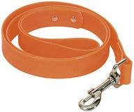 CHAPUIS SELLERIE Hondenriem, fluorescerend, pvc, 15 mm breed, 1,20 m, maat S, oranje
