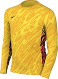 Nike Y NK DF GARDIEN V GK JSY LS