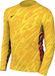 Nike Y NK DF GARDIEN V GK JSY LS