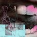 Inner Annie Taylor - Inner Smile (CD)