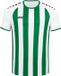 Jako Inter Shirt Korte Mouw Heren - Sportgroen / Wit | Maat: L