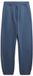 Superdry Blank Oversize Trainingsbroek Blauw XL Man