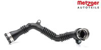 METZGER Tuyau de refroidissement, tuyau d'eau pour VW TOURAN (1T1, 1T2), numéro d'article 2422425